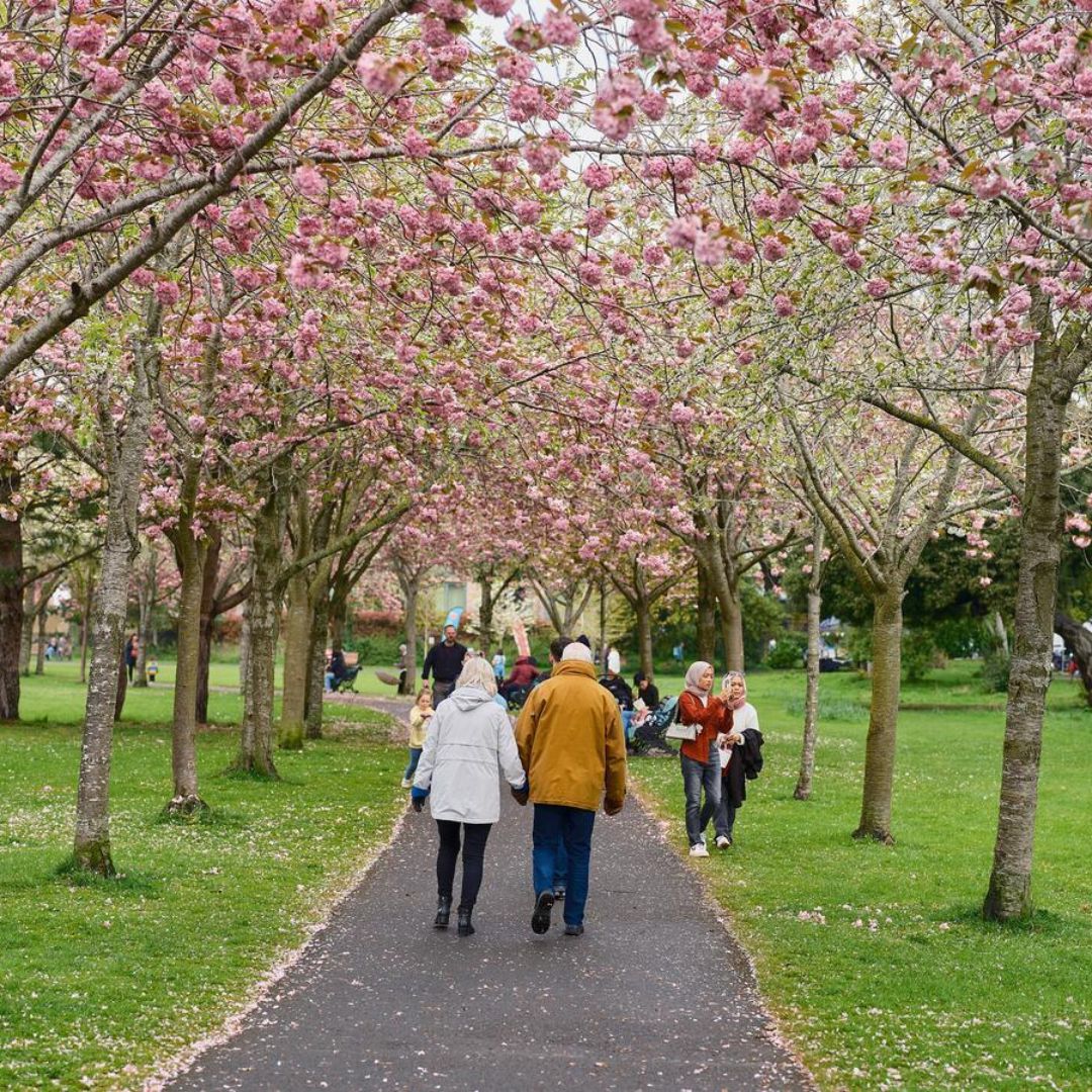 Herbert Park in Ballsbridge Dublin 4